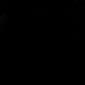 Meet your Posher, Shay